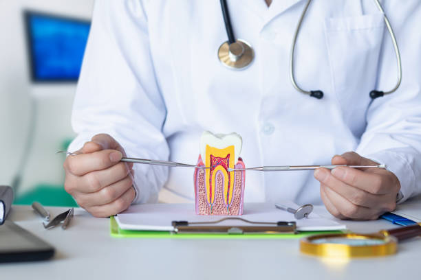 Best Cracked Tooth Emergency Dentist  in Forest Heights, MD